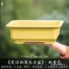 Maceta Rectangular Pequeña de Resina para Uso Doméstico, Cerámica de Imitación Arena Púrpura, Adecuada para Plantas Verdes, Bonsái de Árbol de Banyan, Venta al por Mayor