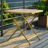 Mesa y Silla Plegable de Plástico-madera para Exterior Combinación Patio Mesa y Silla de Ocio Juego de Tres Piezas Camping Casual Mesa y Silla de Hierro
