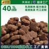 Solución enzimática para procesamiento de alimento para gatos carne fresca precio completo horneado sándwich grano marca grande fábrica de alimento para gatos mayoreo 25.00kg stock