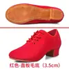 Zapatos de Baile Latino para Mujer, Tacones Altos, Zapatos de Baile para Adultos de Cuatro Estaciones, Especial para Profesores, Práctica, Sociales, Estándar Nacional, Zapatos de Baile de Tela Oxford