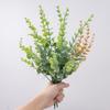 Flor artificial folha de dinheiro INS eucalipto fábrica família casamento flor segurando planta parede flor artificial decoração MW20206