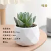 Plantas en Maceta de Suculentas de Diamante Simuladas al por Mayor, Decoración del Hogar, Plantas Suculentas para Oficina, Adornos de Plantas Verdes, En Stock, Entrega Inmediata