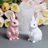 Molde de Yeso de Aromaterapia Conejo de la Suerte Estéreo DIY Pellizco Aroma Vela Adornos Decorativos Molde de Silicona Animal