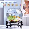 Aquário Pequeno, Tanque Transparente de Vidro Espessado para Tartaruga de Escritório, Tanque Mini Pequeno Redondo para Peixinhos Dourados de Mesa em Casa na Sala de Estar