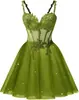 Estilo Nuevo 2026 Elegante Ceñidor de Cintura Sin Tirantes Malla Fiesta de Cumpleaños Dama de Honor Vestido de Noche para Mujeres, Suministro Transfronterizo