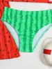 Traje de Baño de Dos Piezas para Niña de Comercio Exterior Transfronterizo Nuevo Estilo 2027 Bikini de Tres Piezas Estampado Conjunto de Playa para Niños Ropa de Baño