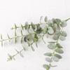 Hojas de Eucalipto Simuladas de 5 Ramas, Hojas de Dinero de Seda, Flores Falsas para Boda, Decoración de Hojas Verdes, Hojas de Eucalipto Simuladas Estilo Ins
