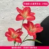 3 Flores de Lirio Simulación 3D Pequeño Libro Rojo Mismo recomendar Boda Decoración de Boda Flor Ventana Fotografía Paisaje