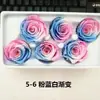 5-6cm Flor Rosa Eterna de Duas Cores Tanabata Dia dos Namorados Natal Aniversário Caixa de Presente Materiais para Presente