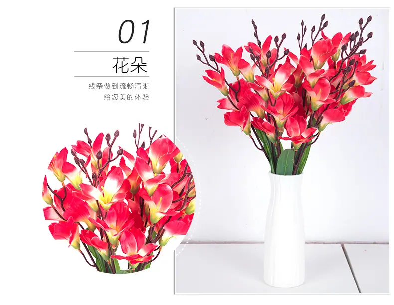 7剑兰小把花_07.jpg