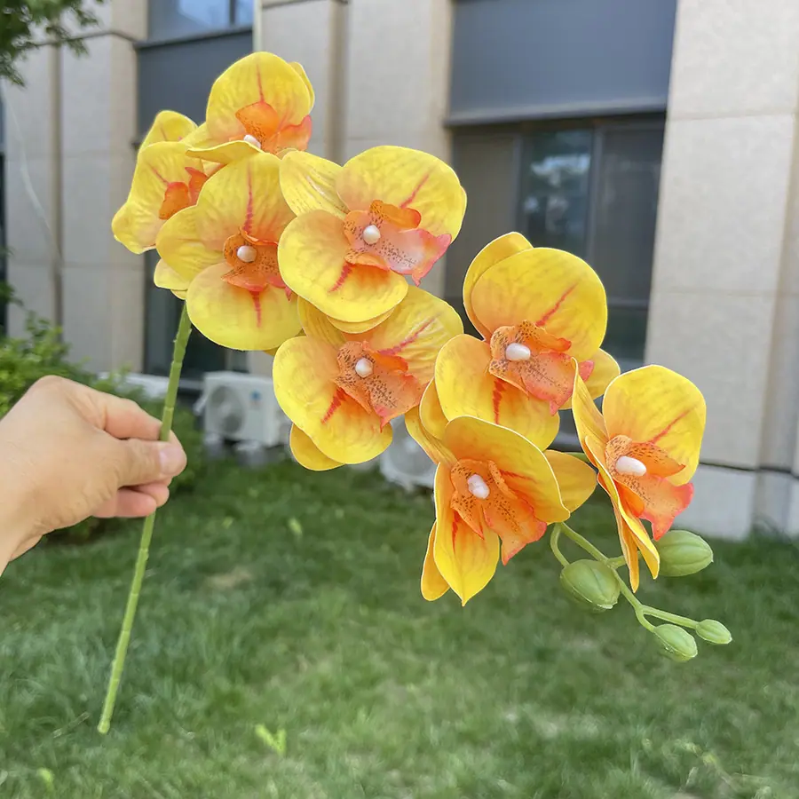 9头短杆3D打印蝴蝶兰-xlmwdx-黄色.JPG