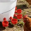 Bebedero Automático para Pollos, Bebedero para Patos, Alimentador Automático de Agua para Granjas Avícolas, Nuevo Tipo de Bebedero para Aves