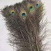 Atacado do Fabricante Em Estoque Penas de Pavão 110-120cm Arranjos de Flores Ornamentos Adereços de Casamento Penas de Pavão Acessórios para Roupas