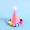 Sombreros para Mascotas Transfronterizos Año Nuevo Cumpleaños Navidad Fiesta de Gatos y Perros Lindos Suministros para Mascotas Gorro de Invierno Venta al por Mayor