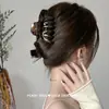 Pinza de Calabaza ~ Temperamento Francés Retro Pinza Grande para el Cabello Pinza Tiburón Elegante para el Cabello Pasador para el Cabello de Mujer Cabeza Alta