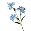 3 Flores de Íris Artificiais para Casamento e Decoração de Casa, Flores Artificiais para Arranjos Florais de Salão de Casamento, Decoração Suave Atacado de Materiais Florais