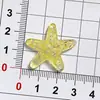 Serie de Accesorios de Estrella de Mar de Resina Brillante para Manualidades: Pinzas para el Cabello, Pinzas de Garra, Imanes para Refrigerador y Accesorios para Zuecos al por Mayor