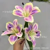 Lirio Hemerocallis Impreso en 3D Lirio Pequeño Artificial Decoración para el Hogar Boda Flores Artificiales Accesorios para Escaparates de Centros Comerciales Materiales Florales
