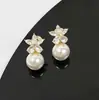 Brincos de Clipe para Velas de Mosquito para Mulheres Sem Orelhas Furadas, Brincos de Pérola de Alta Qualidade, Brincos Estilo Francês Atacado, Luxo Leve Ins, Simples e Elegante