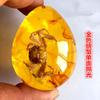 Colgante de Ámbar con Espécimen de Insecto Real Ámbar Insecto Gota de Agua con Forma de Insecto Escorpión Mariposa Abeja Flor Ámbar Transmisión en Vivo Venta al por Mayor