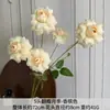 Flores Artificiales Color Champán para Bodas al Aire Libre, Decoraciones de Fondo de Boda, Adornos para Sala de Estar en Casa, de Alta Gama y Realistas