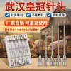 Agujas de Inyección Acero Inoxidable Corona Pared Gruesa Agujas para Jeringa Veterinaria para Cerdos, Ganado Vacuno, Ovejas, Pollos, Patos, Agujas de Vacunación Veterinaria