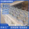 Venda de fábrica muro de pátio de prisão anti-escalada espinho aço inoxidável galvanizado a quente espinho anti-escalada prego queima aço inoxidável tubo de gás Espinho prego