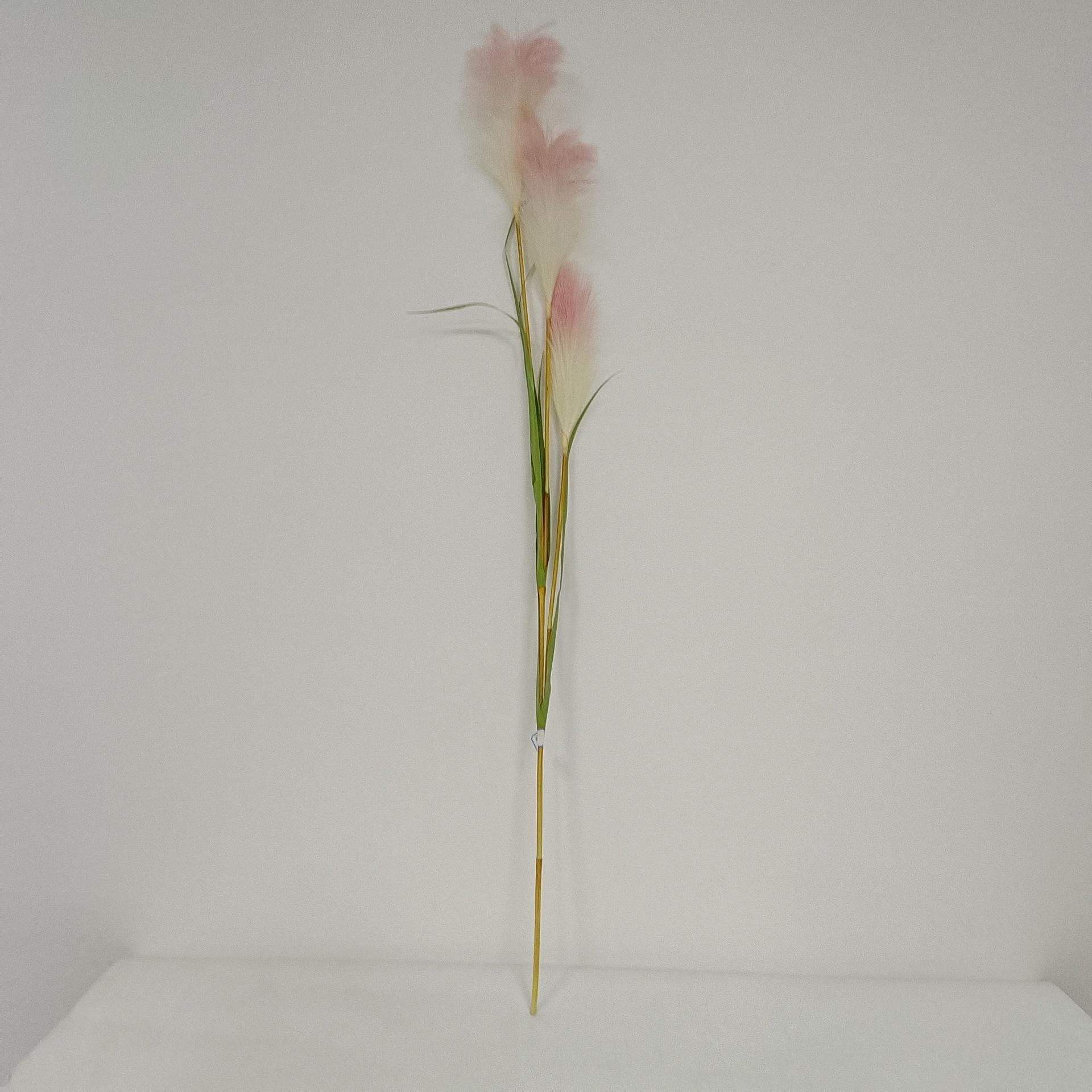 1.45米3头套管芦苇3.jpg