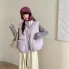 Outono/Inverno 2026 Novo Estilo Coreano Gola Alta Colete de Penas Feminino Roupa Externa Curto Bolso Grande Colete Gilet Roupa Externa