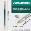 Pincel de Cerdas para Tinta a Óleo Hwahong Huahong Coreano Importado Leque 205 Caneta Leque 808 Avelã Profissional Acrílico Giz de Cera
