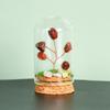 Cristal natural original con cubierta de vidrio, micropaisaje, árbol de cristal, regalo científico popular para niños, adornos de decoración para el hogar.
