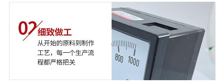 乐清市蜀隆仪表厂xq_06