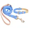 Novo Conjunto de Corda de Tração para Cachorro com Coleira PVC Cor Macaron à Prova d'Água e Sujeira Corrente para Cachorro Tira para Cachorro