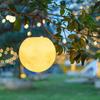 Lámpara de Luna Simulada Portátil Lámpara Durian Linterna de Calabaza Linterna de Ganso Blanco Lámpara Animal Búho Lámpara Decorativa Solar para Exterior