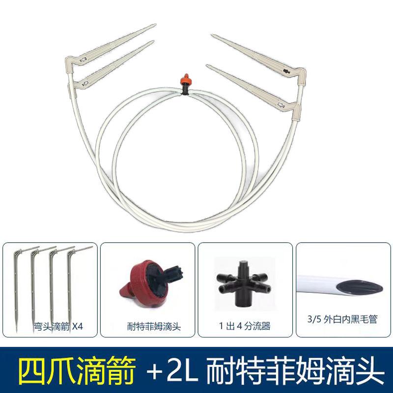 白滴箭+ntfm.jpg