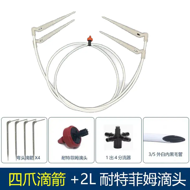 白滴箭+ntfm.jpg