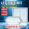 Luz especial para câmara fria LED, à prova d'água, à prova de umidade, à prova de explosão, luz tripla à prova de baixa temperatura, luminária de banheiro 10W 20W