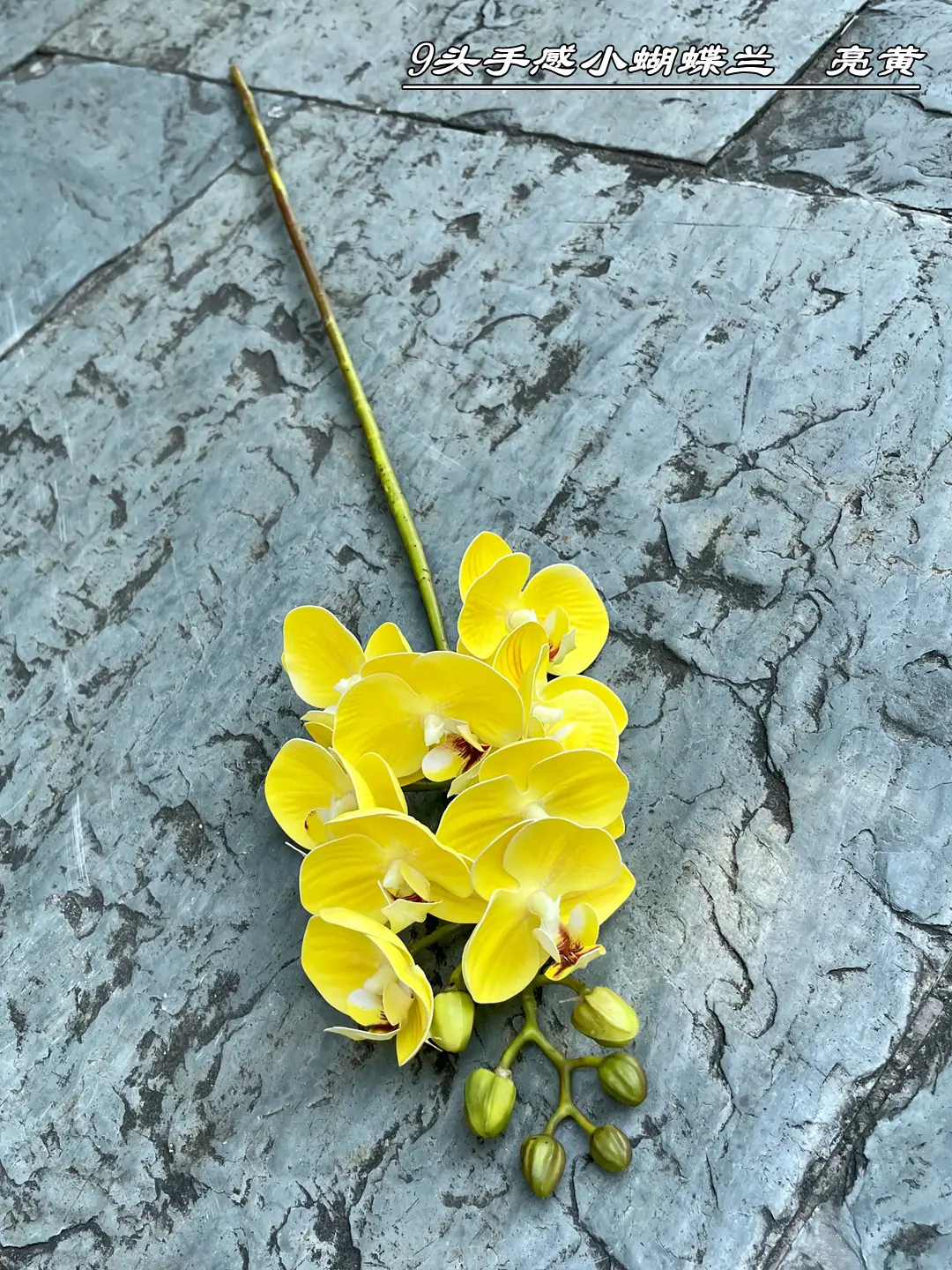微信图片_20210724103056_副本.jpg