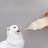 Biberón para Mascotas Gatito Tetina Pequeña Animal Veterinario Cachorro Perro Hámster Conejo Chinchilla Cobaya Biberón de Alimentación