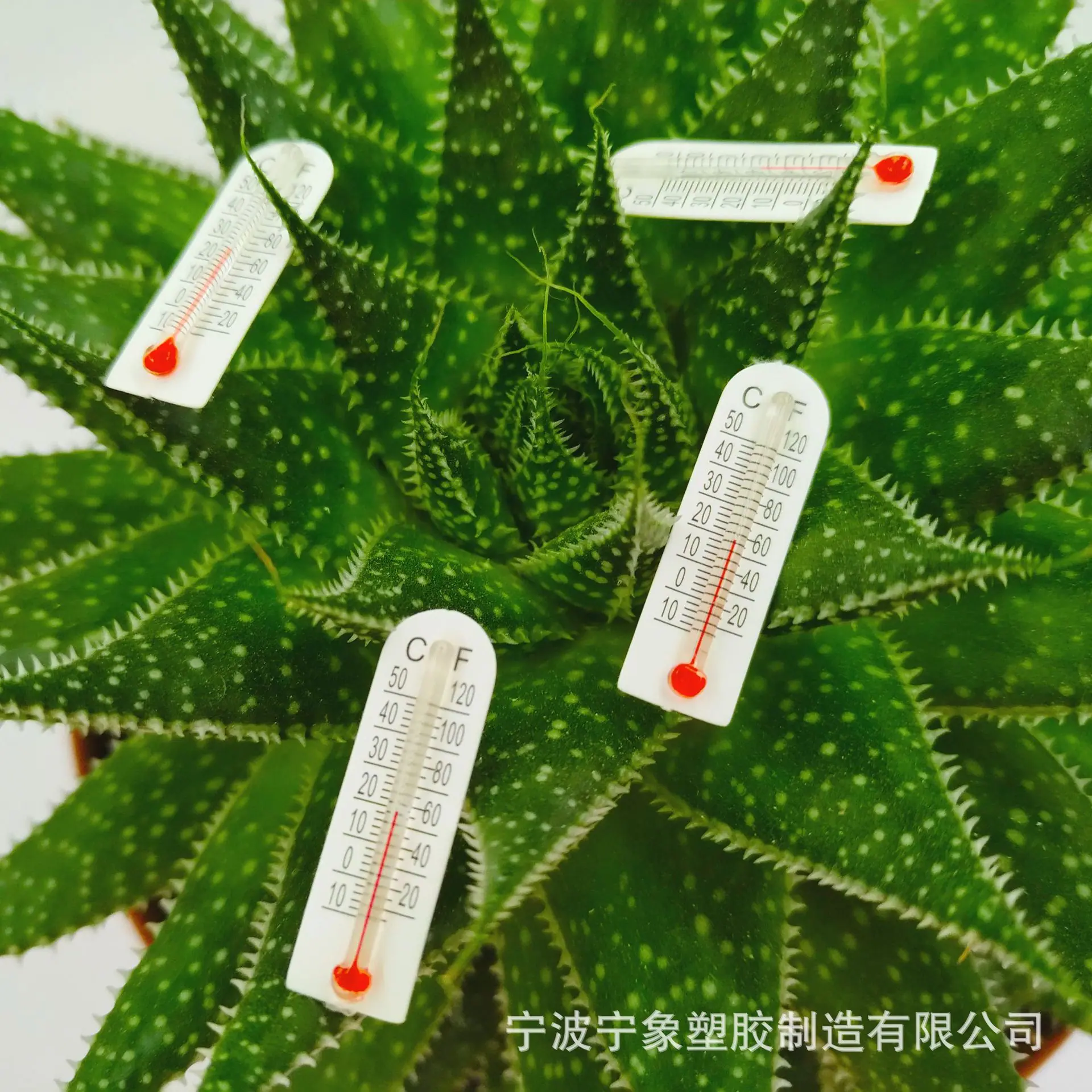 纸板3X1