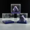Fabricante Produce Cajas Transparentes de Plástico para Mascotas, Cajas de Embalaje para Manualidades, Productos Culturales y Creativos, Cajas Transparentes de PVC, Cajas Plegables de Alta Transparencia