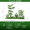 Plantas Verdes Simuladas, Plantas em Vasos, Paisagismo, Enfeites de Decoração de Interiores, Cenas Combinadas, Janelas, Paisagens de Shopping Centers, Árvores Simuladas