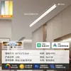 Luminária de Teto Longa Minimalista de Sobrepor para Sala de Estar, Corredor Criativo, Corredor, Varanda Ensolarada e Varanda - Modelo Novo 2026