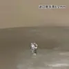 ¡56 Colores Swarovski! Clavo Explosivo Huazi para Hueso del Oído Acero de Titanio Clavo Coclear Suela Retorcida Plana