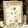 Marco de Exhibición Hueco 3D para Muestras DIY Marco de Fotos Hecho a Mano Soporte de Exhibición para Plantas, Conchas, Arcilla, Flores Secas Conservación y Exhibición