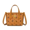 Bolsa Tendência Influenciador Estilo Primavera/Verão 2026 Elegante Deusa Transversal Mini Cesta Bolsa Tote para o Dia a Dia