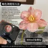 Colorante para flores, absorbente de color para rosas, solución absorbente de color, tinte, colorante para ramos y floristerías