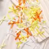 Cinto de Poliéster 3mm Laço Amarrado à Mão Cinto de Um Ponto Acessórios de Lingerie Laço Pequeno Laço de Fita Mini