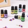 Paquete de Materiales para Velas DIY de Aceite Esencial de Aromaterapia Lámina de Cera Hecha a Mano Difusor de Yeso Fragancia Ligera Fragancia para Hombres y Mujeres