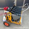 Máquina auto-caminante de gasolina de potencia para plantar ajos, sembradora de ajos de cinco líneas, máquina para plantar dientes de ajo de tres líneas